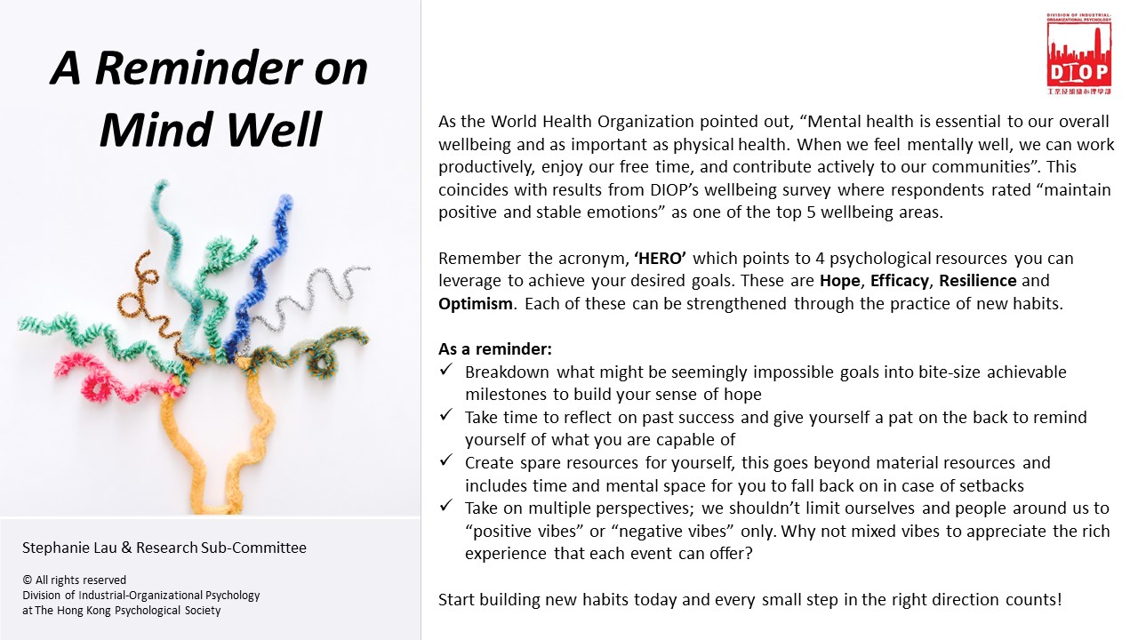 6. DIOP_Mind Well_Summary_v1.1